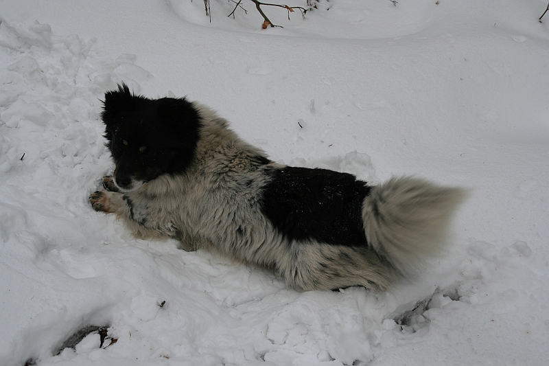Turbacz 22.03.08 014